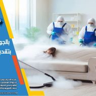 شركة تنظيف باليخار بالرياض